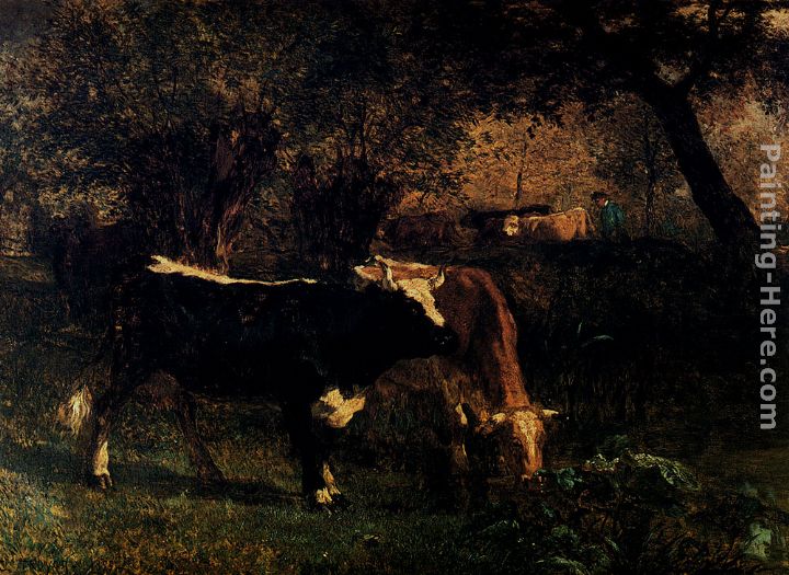 Vaches A L'Abreuvoir